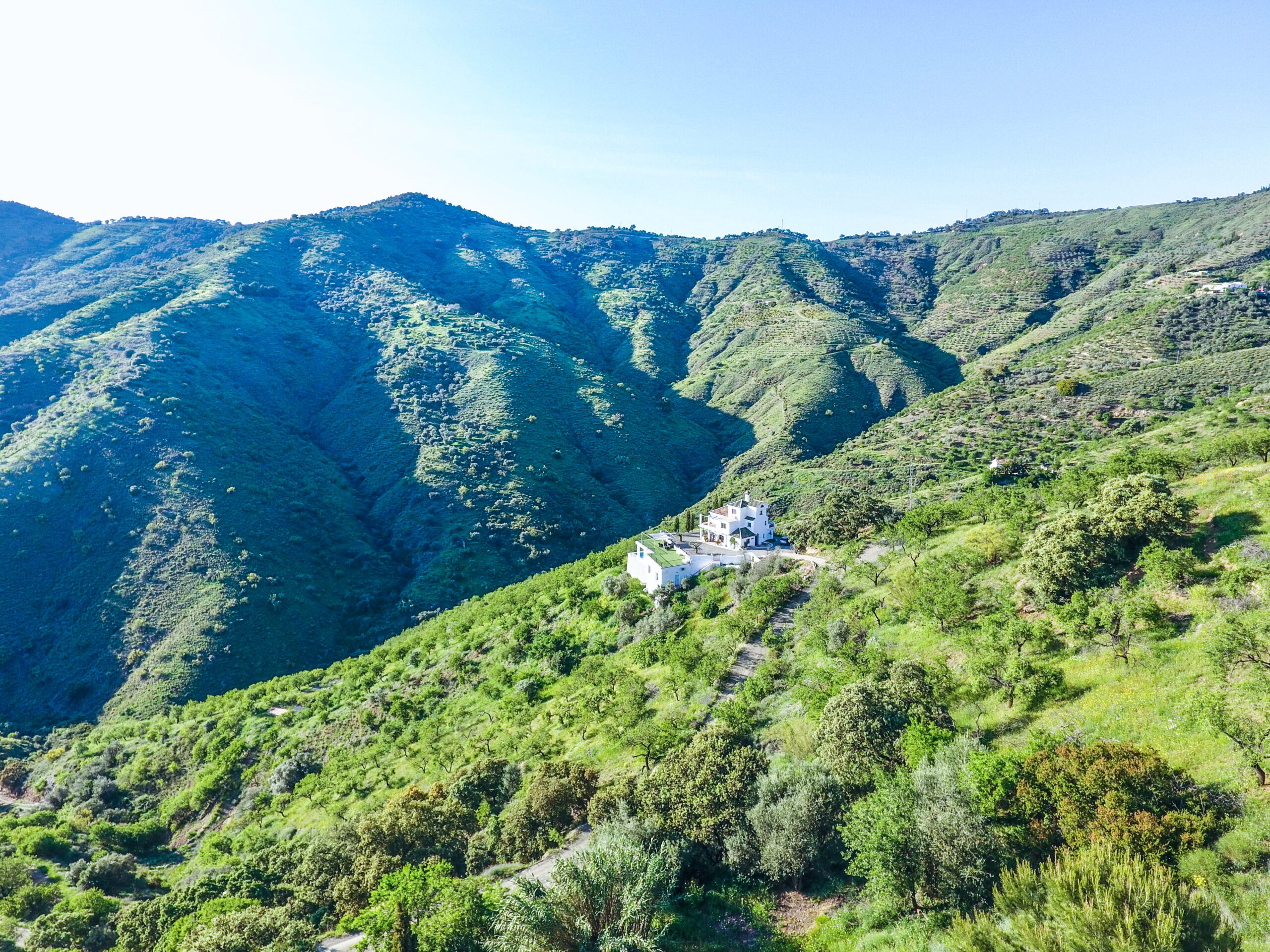 DJI_0016
